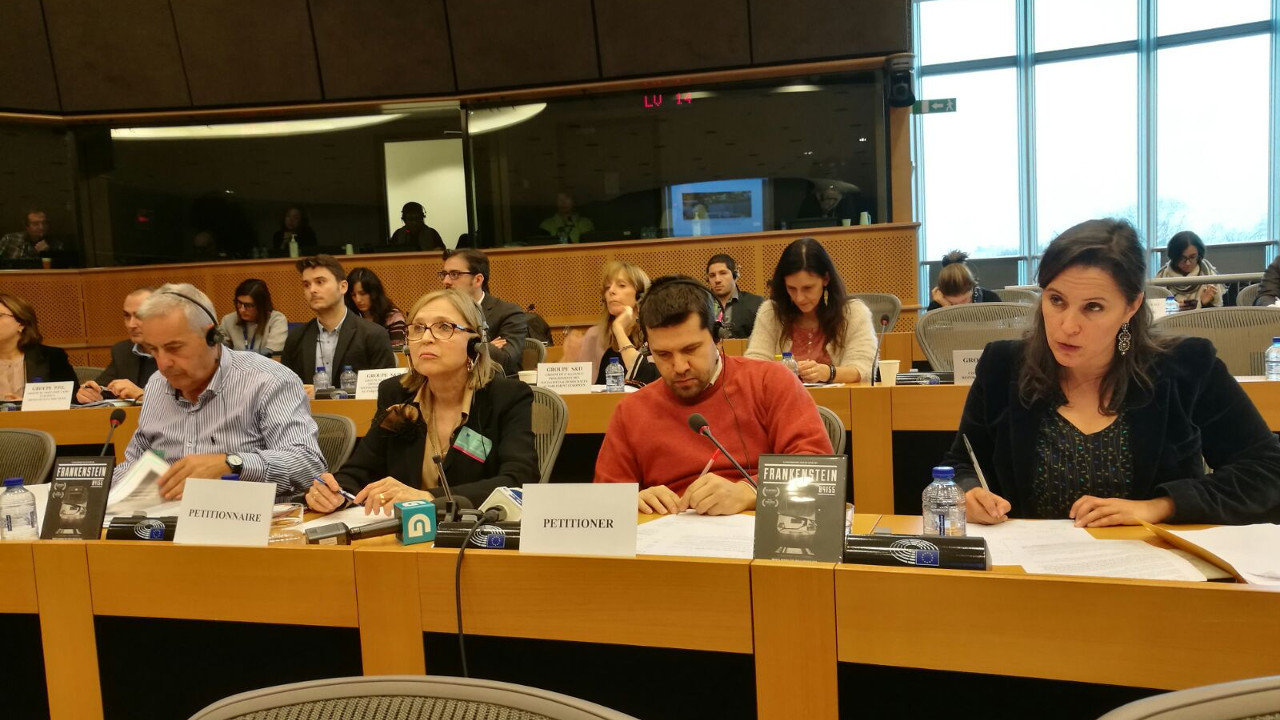 Ana Miranda coa Asociación de Vítimas do Alvia no Parlamento Europeo