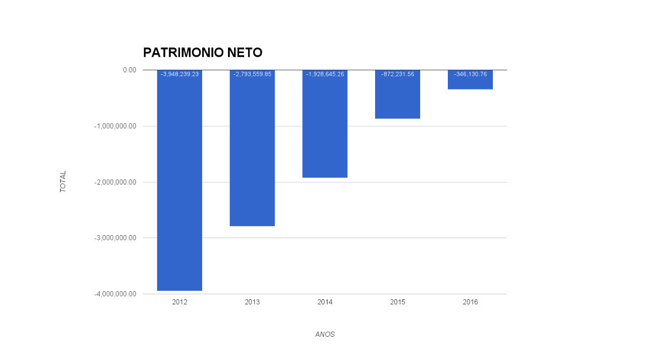 Gráfico patrimonio neto