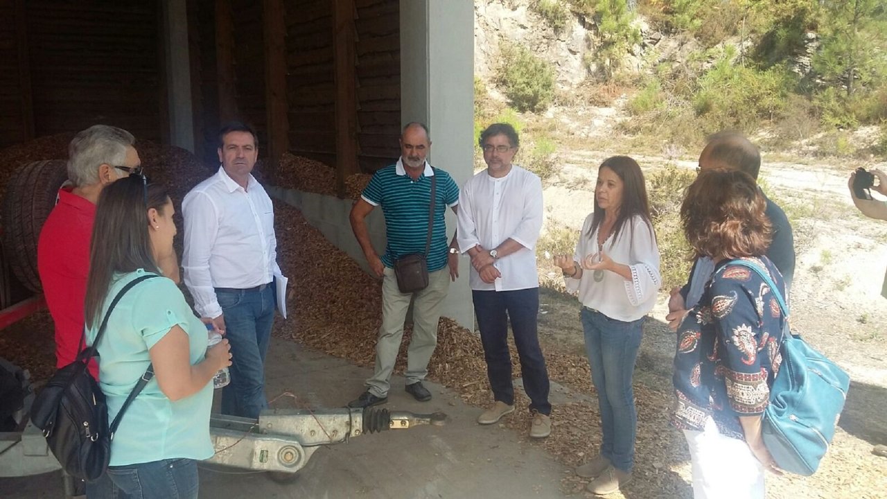 Proxecto de biomasa da comunidade de montes de Ponteareas