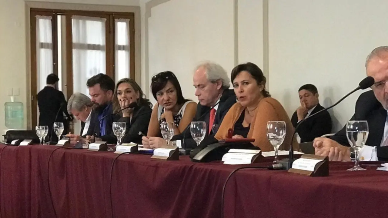 Ana Miranda en Parlasur