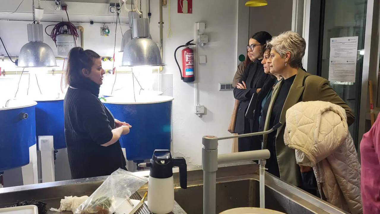 Visita CICA