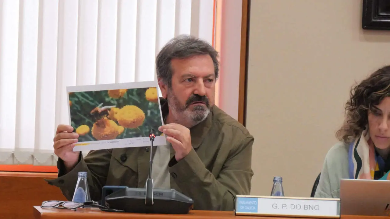 Lu&iacute;s Bar&aacute;