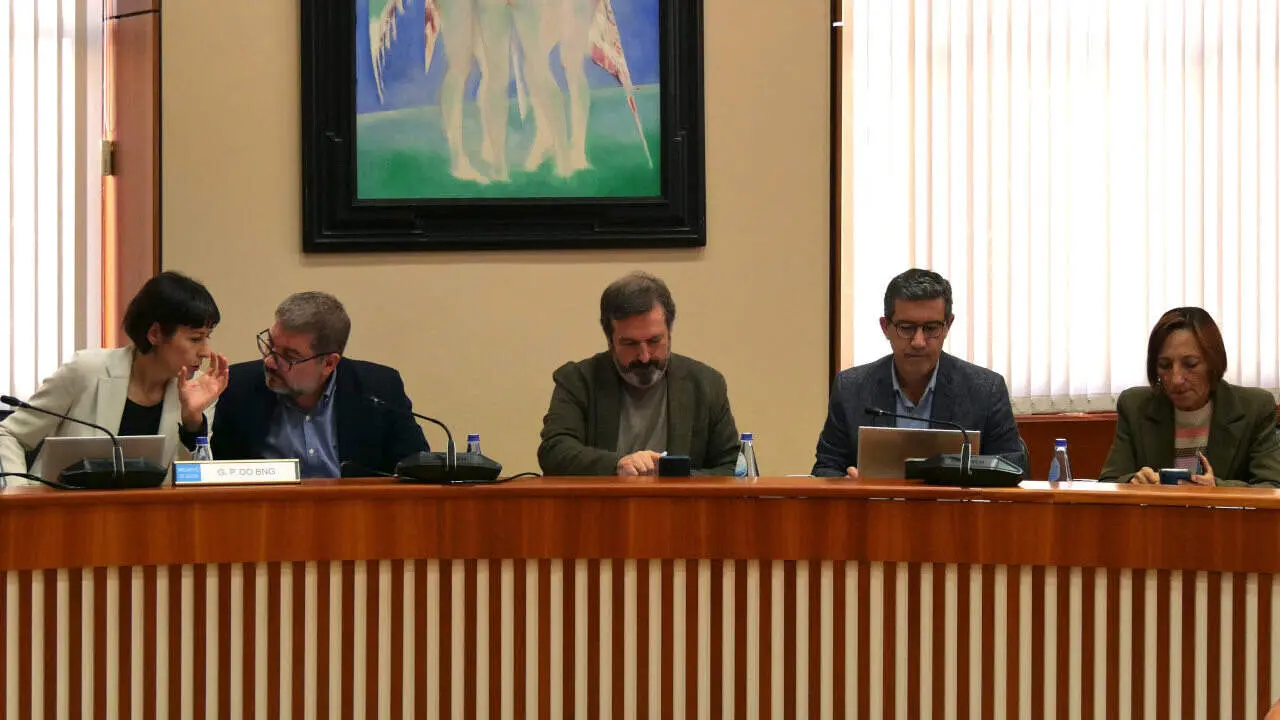 Membros BNG comisi&oacute;n de investigaci&oacute;n