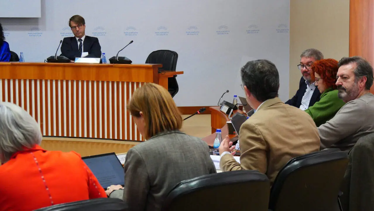 Iago Tabar&eacute; interpelando ao conselleiro 