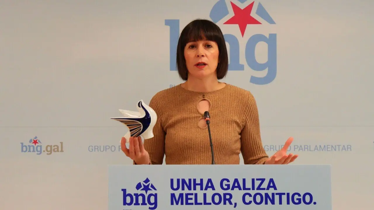 Ana Pont&oacute;n