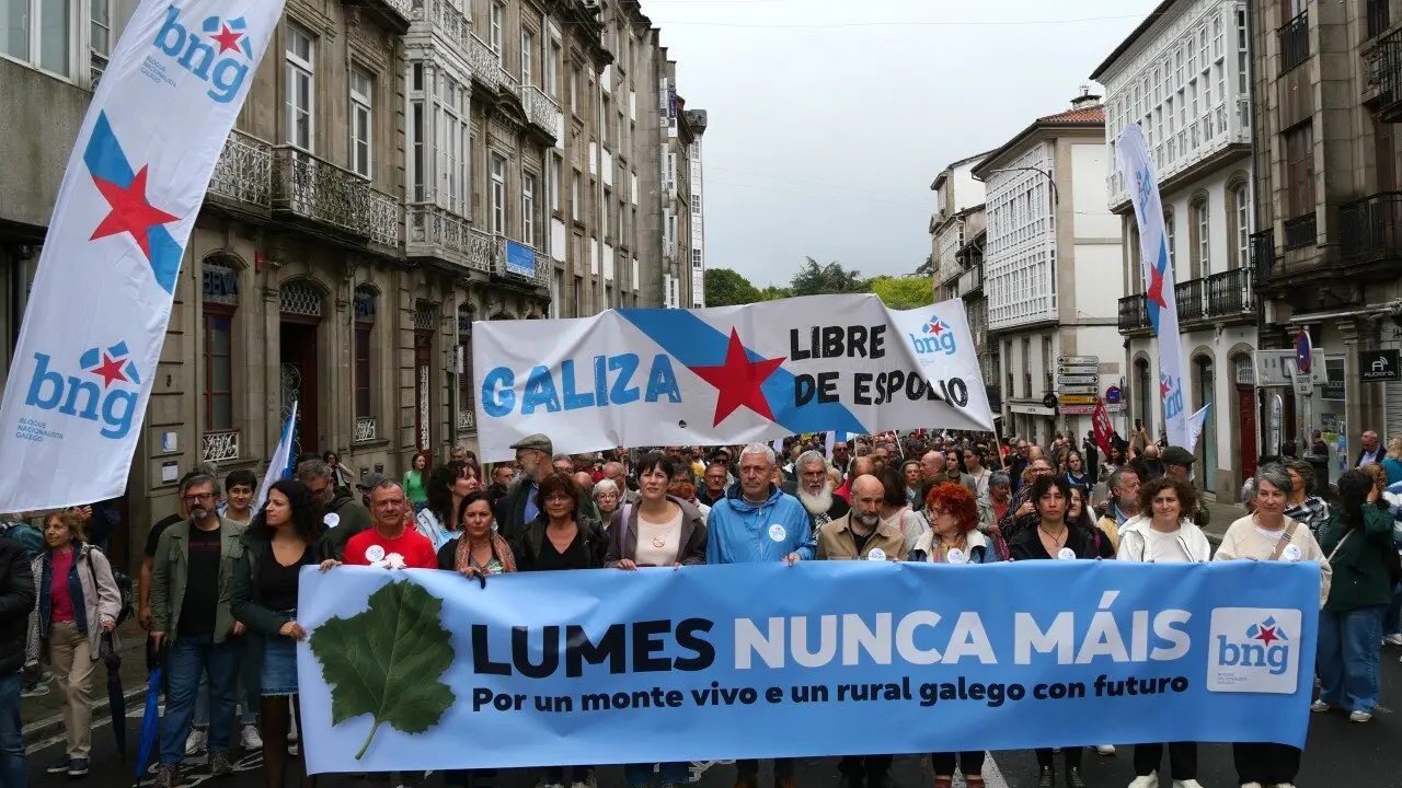 Manifestaci&oacute;n incendios nunca m&aacute;is