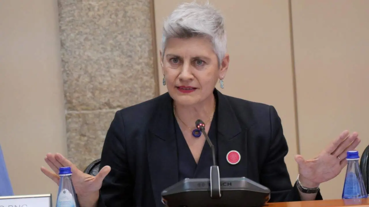 Mercedes Queixas
