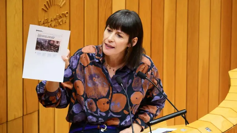 Ana Pont&oacute;n