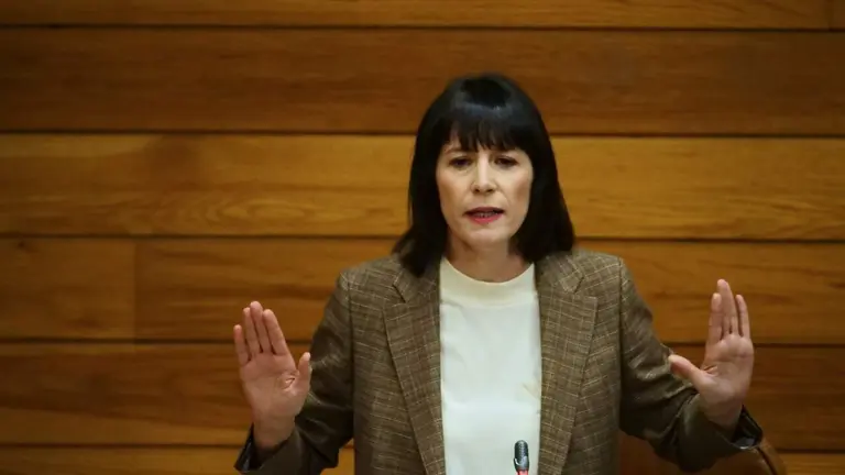 Ana Pont&oacute;n