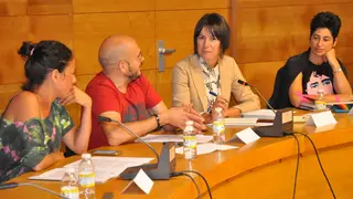 Presentaci&oacute;n do programa