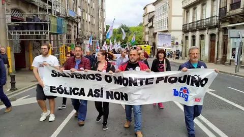 Manifestaci&oacute;n E&oacute;licos si, pero non as&iacute; 6