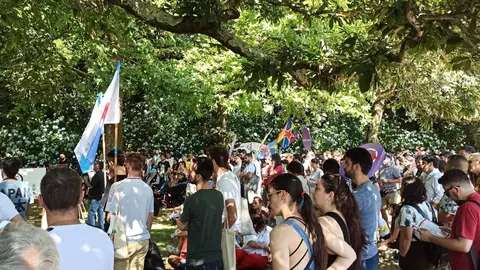 Homanaxe Galiza Nova  