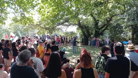 Homanaxe Galiza Nova 
