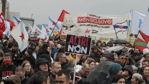 Manifestaci&oacute;n contra Altri na Pobra do Carami&ntilde;al - 15