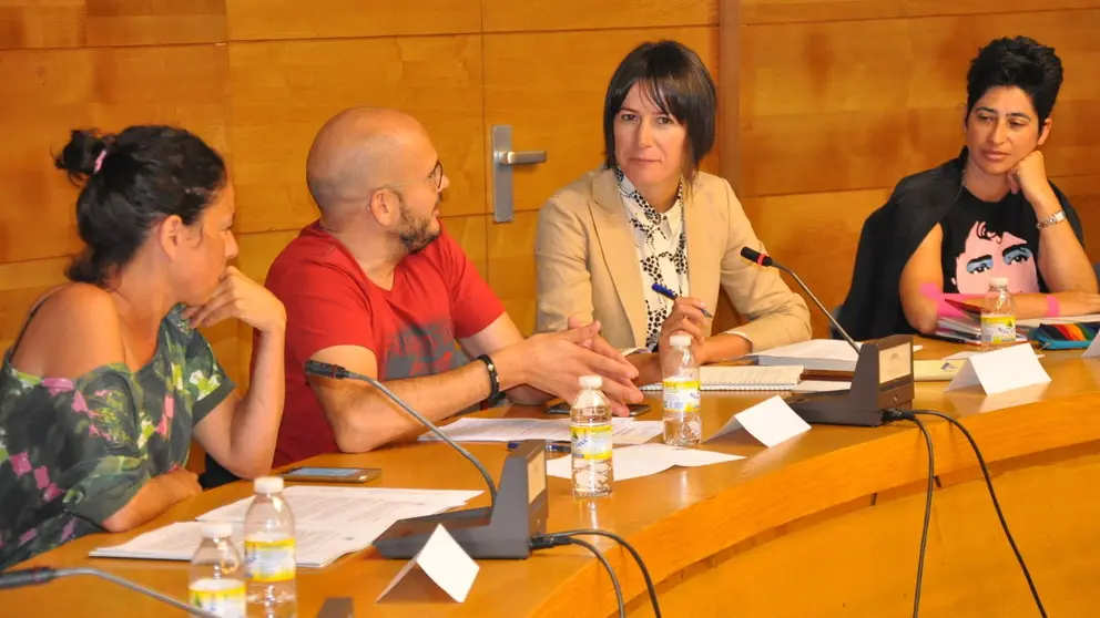 Presentaci&oacute;n do programa