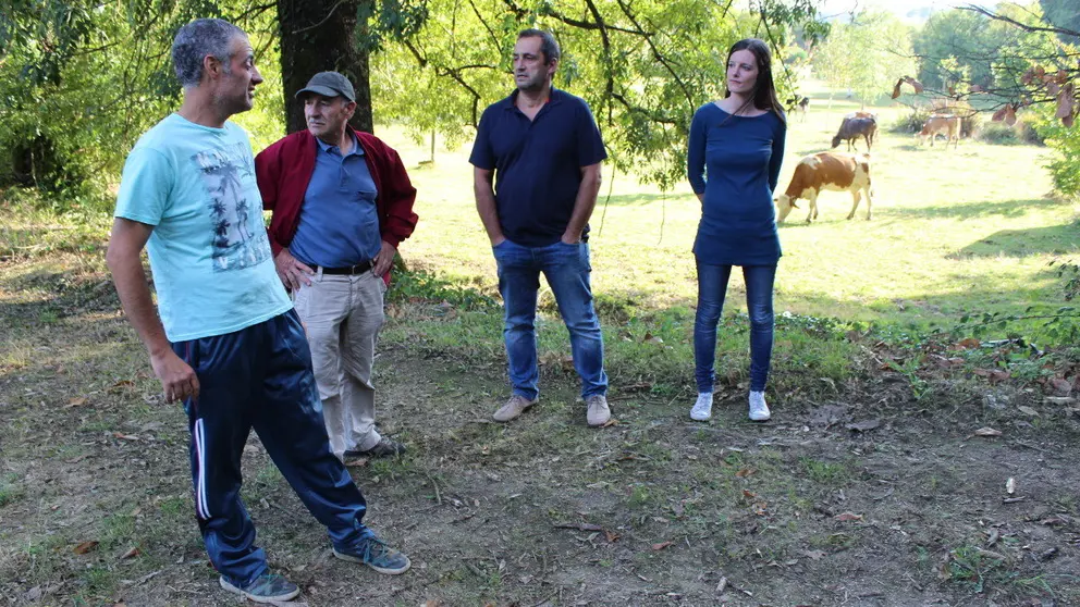 Explotaci&oacute;n l&aacute;ctea de Outeiro de Rei