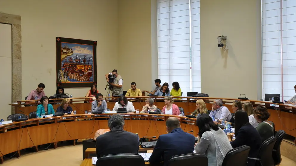 Reuni&oacute;n da Deputaci&oacute;n Permanente