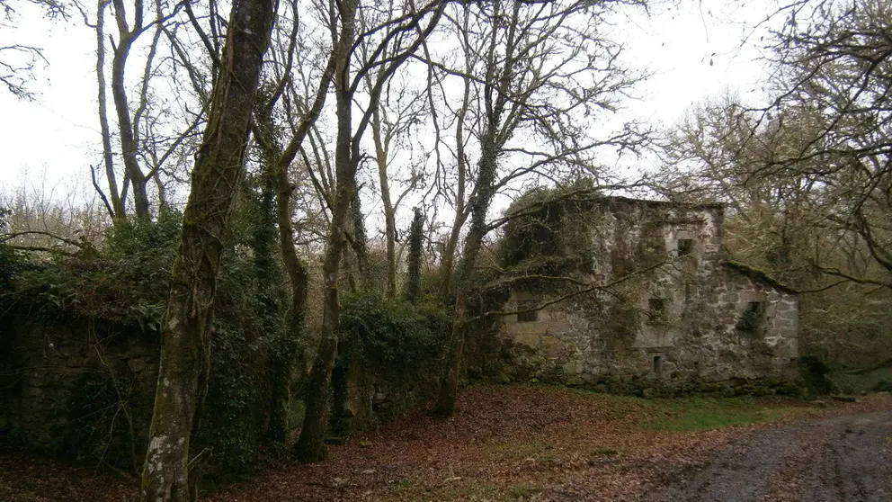 Soutomerille. Foto: Wikipedia.
