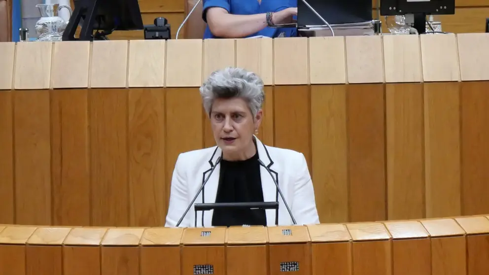 Mercedes Queixas