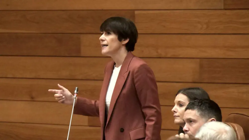 Ana Pont&oacute;n