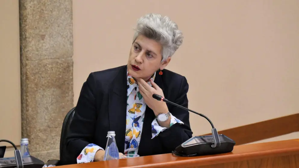 Mercedes Queixas