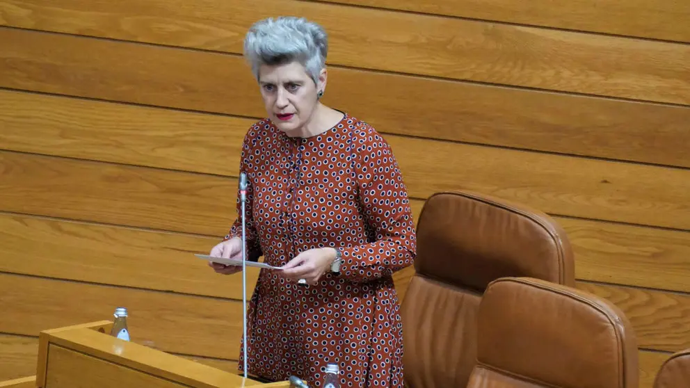 Mercedes Queixas