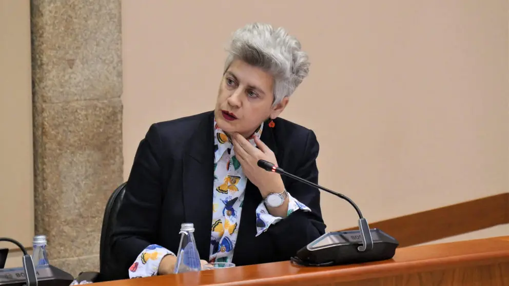 Mercedes Queixas
