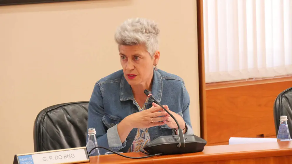 Mercedes Queixas