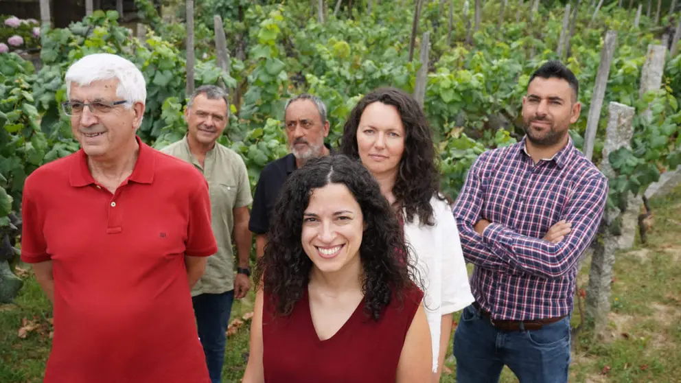 Apoio medio rural