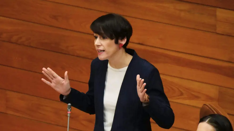 Ana Pont&oacute;n