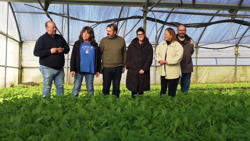 Visita horta