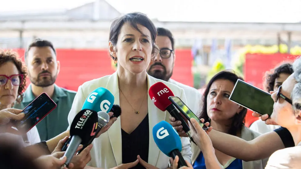 Ana Pont&oacute;n