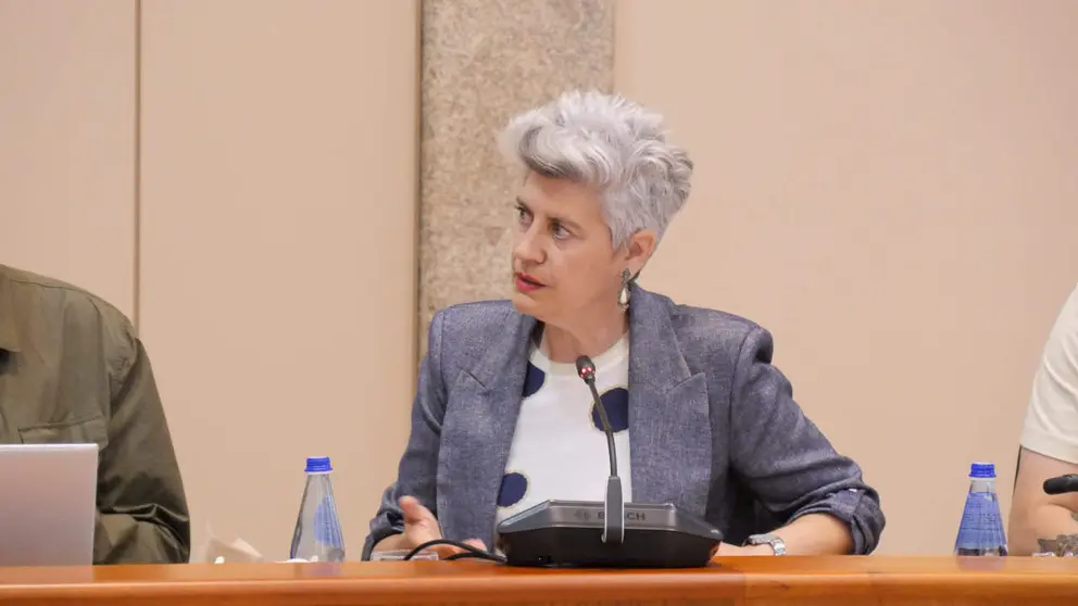 Mercedes Queixas