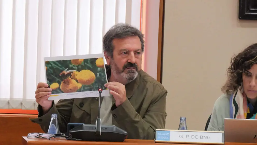 Lu&iacute;s Bar&aacute;