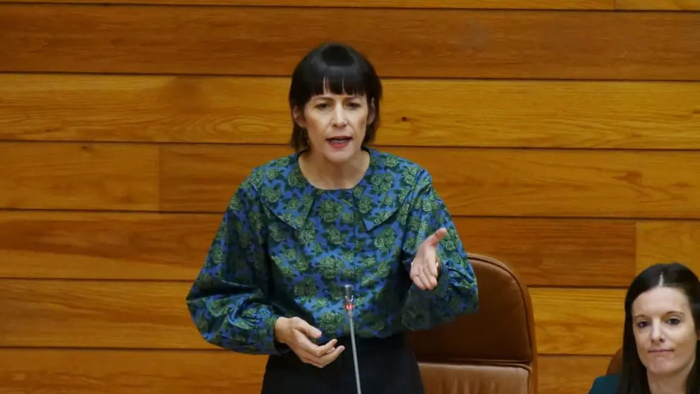 Ana Pont&oacute;n