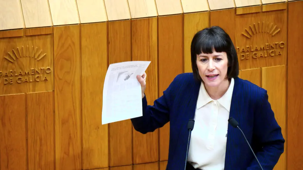 Ana Pont&oacute;n