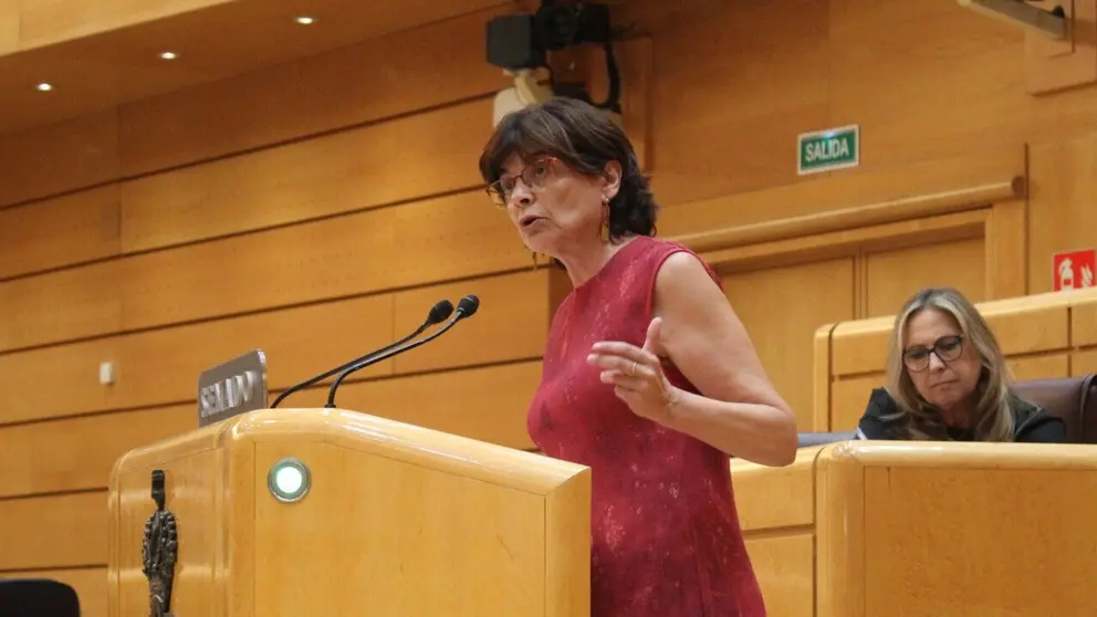 Carme da Silva