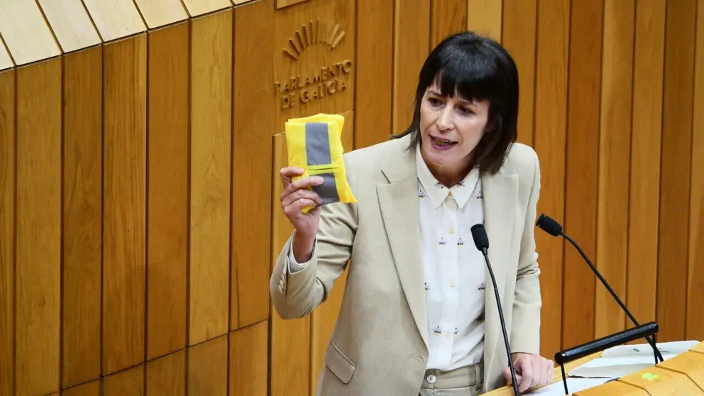 Ana Pont&oacute;n