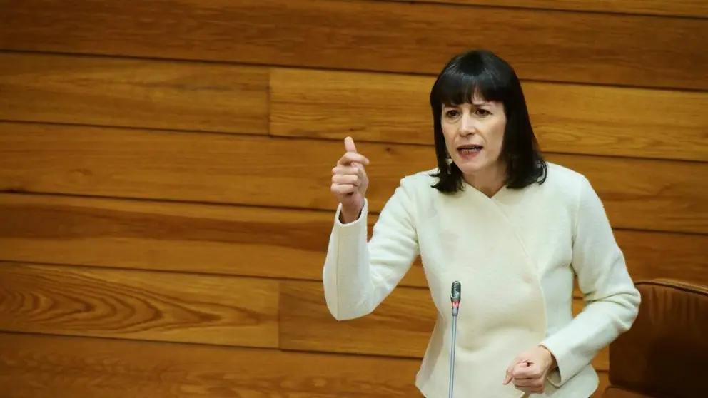 Ana Pont&oacute;n