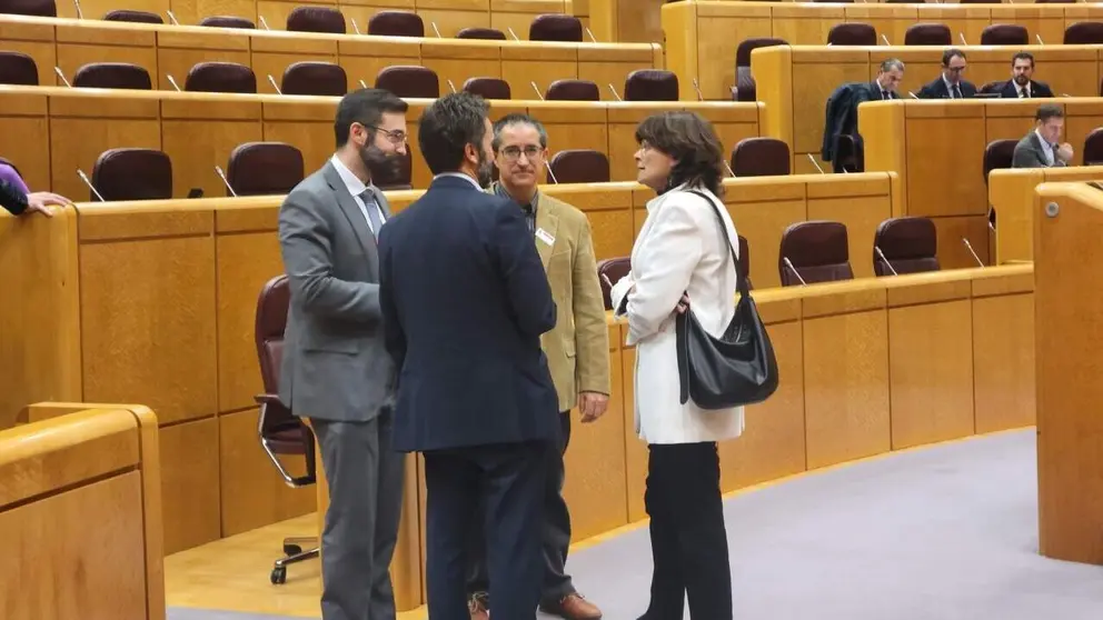Carme da Silva no Senado