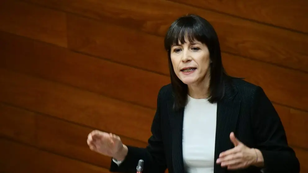 Ana Pont&oacute;n