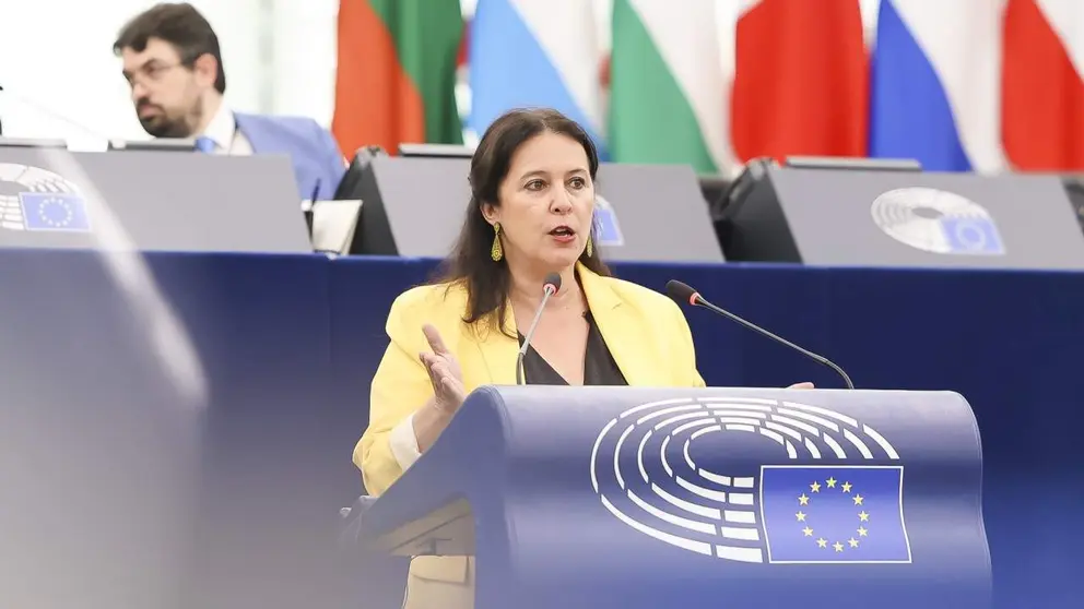 EP Plenary Session - Joint Declaration on &lsquo;Culture for Europe - Europe for Culture&rsquo;
