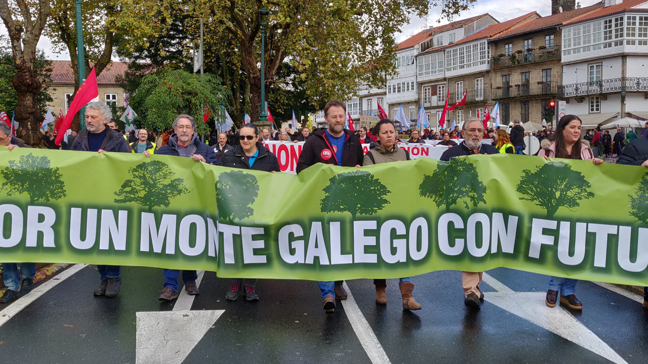 Mobilización montes