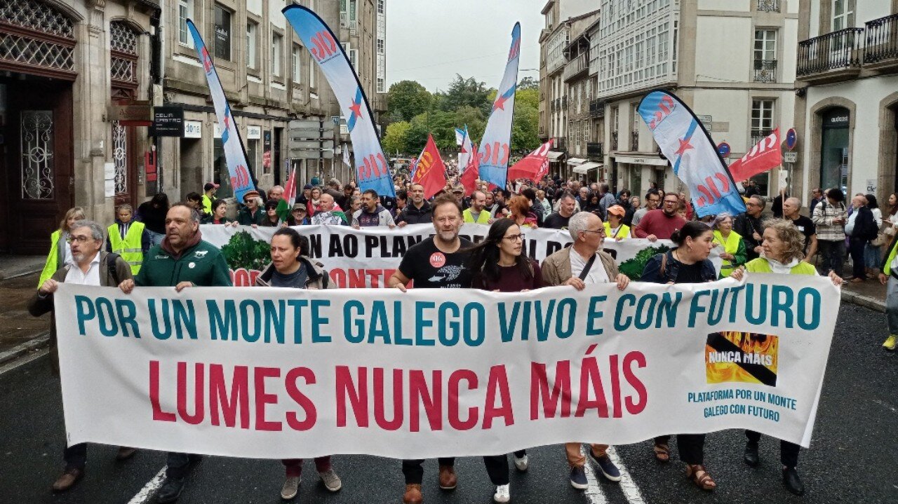 Manifestación incendios nunca máis .jpg